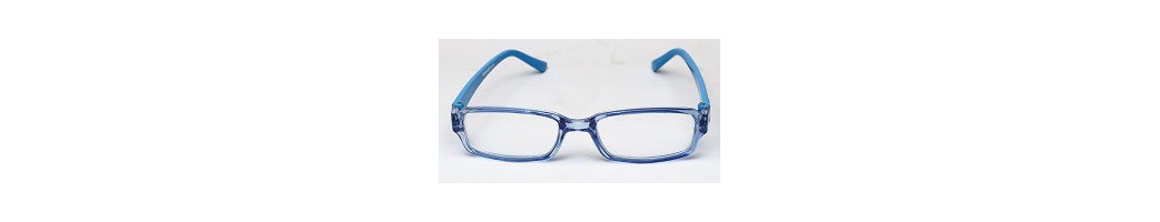 READING GLASSES