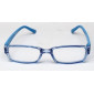 READING GLASSES